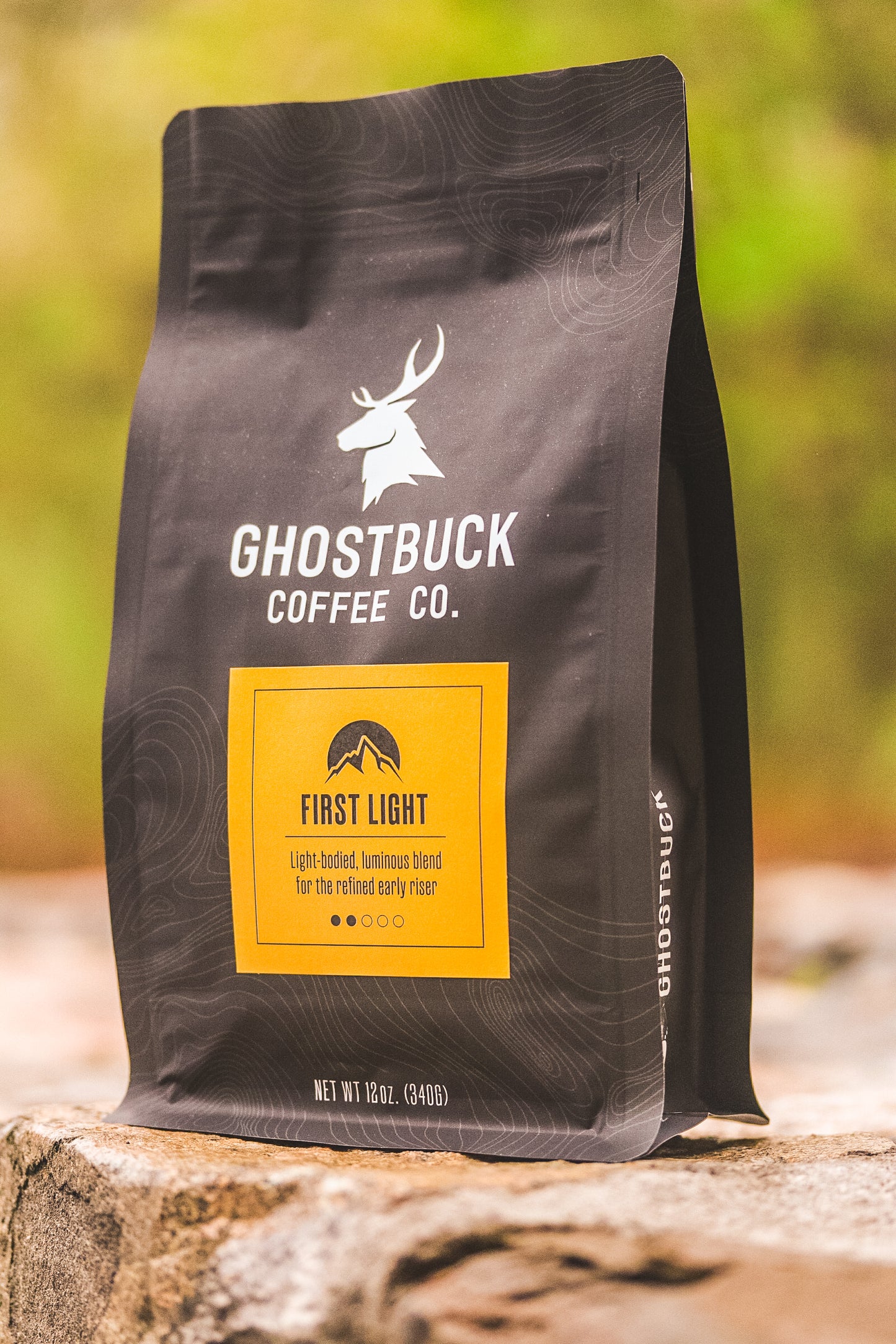 First Light (Light Roast)