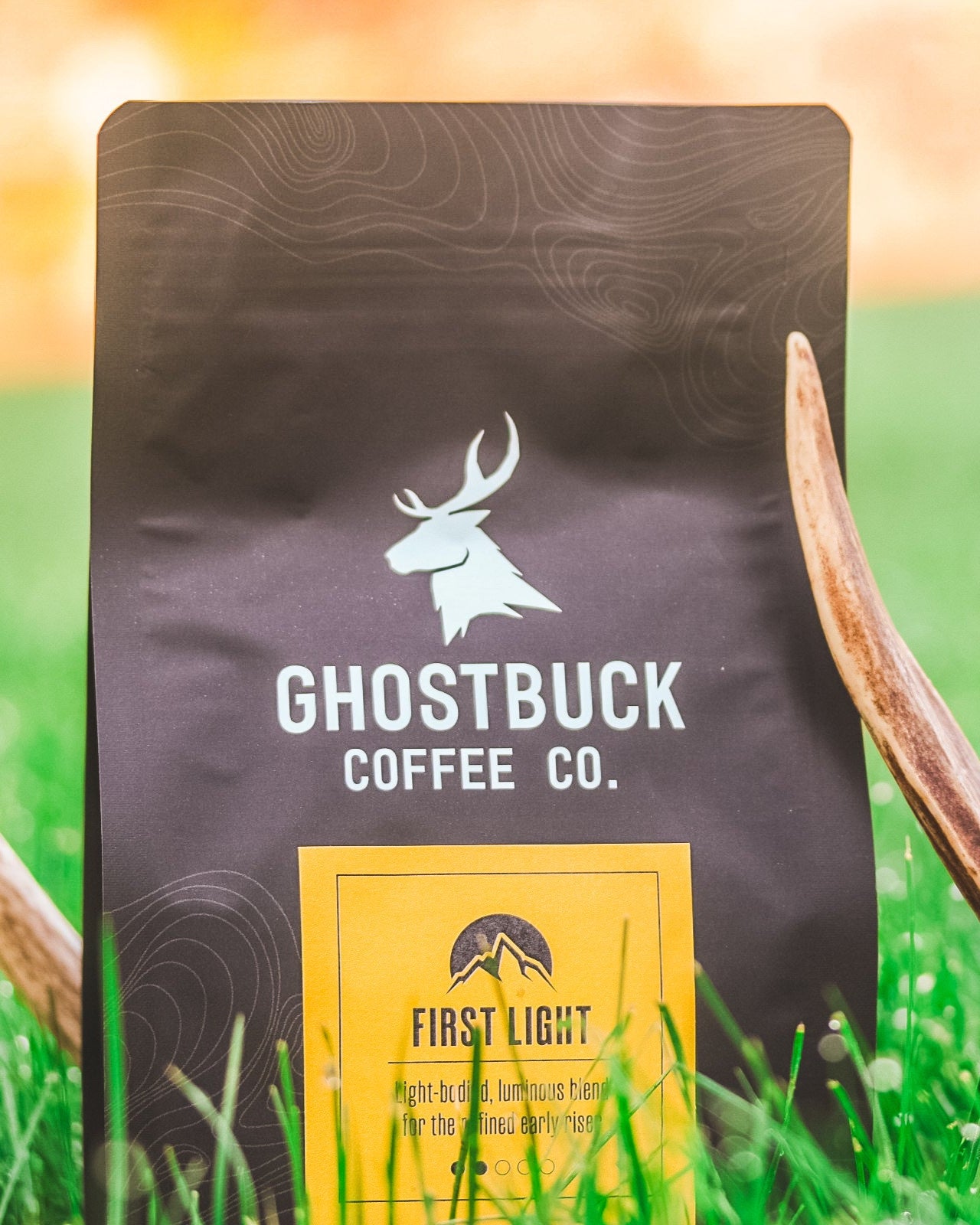 First Light (Light Roast)